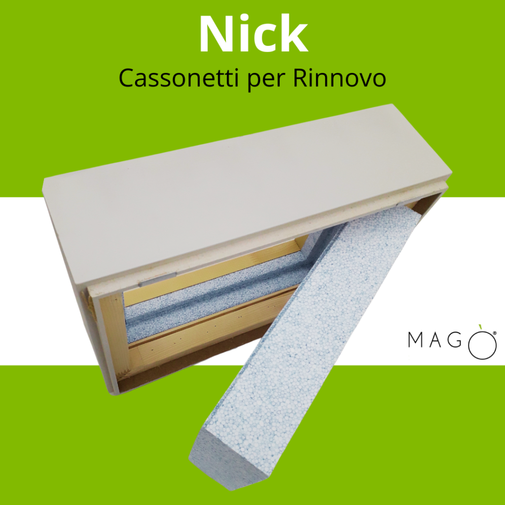 Nick Cassonetto per Rinnovo